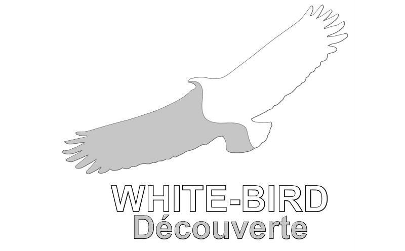 logo de WHITE-BIRD Découverte